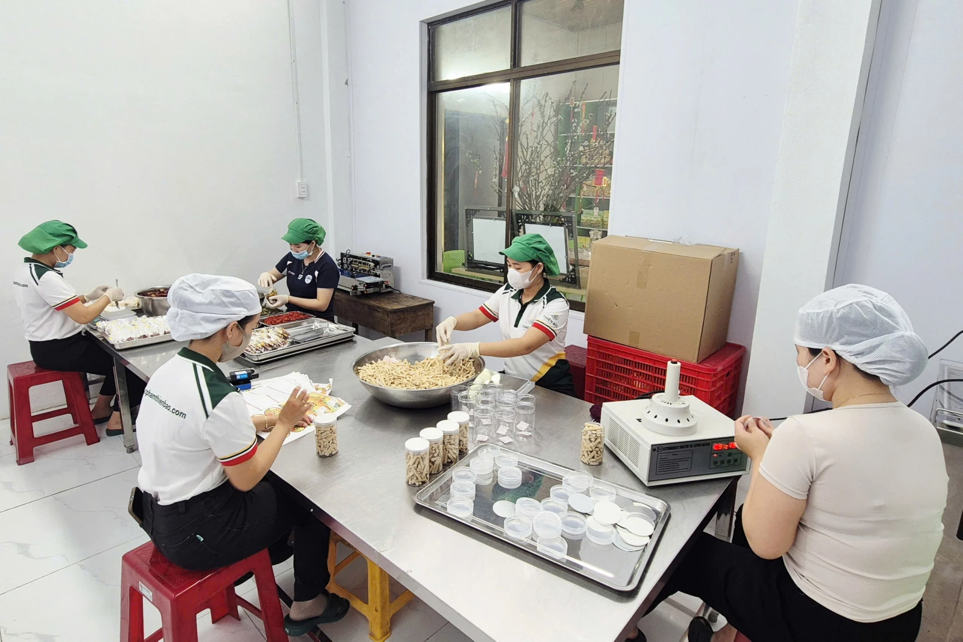 Công nhân Công ty TNHH Thực phẩm sạch Thiện Bảo tất bật sản xuất, đóng gói các mặt hàng nông sản phục vụ thị trường Tết Nguyên đán - Ảnh: K.S