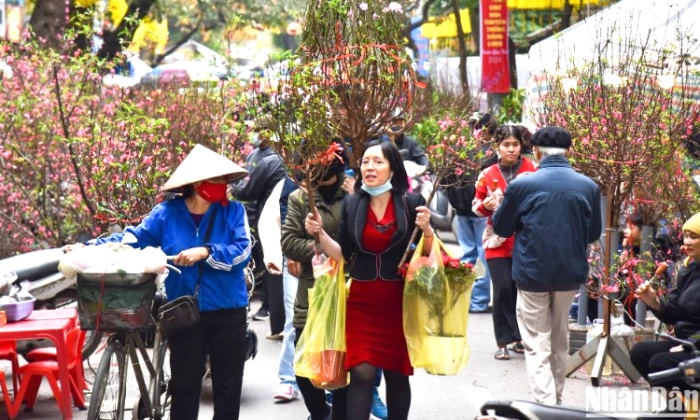 Từ gần sáng mùng 1 Tết (17/2), không khí lạnh tăng cường, Bắc bộ trời chuyển rét