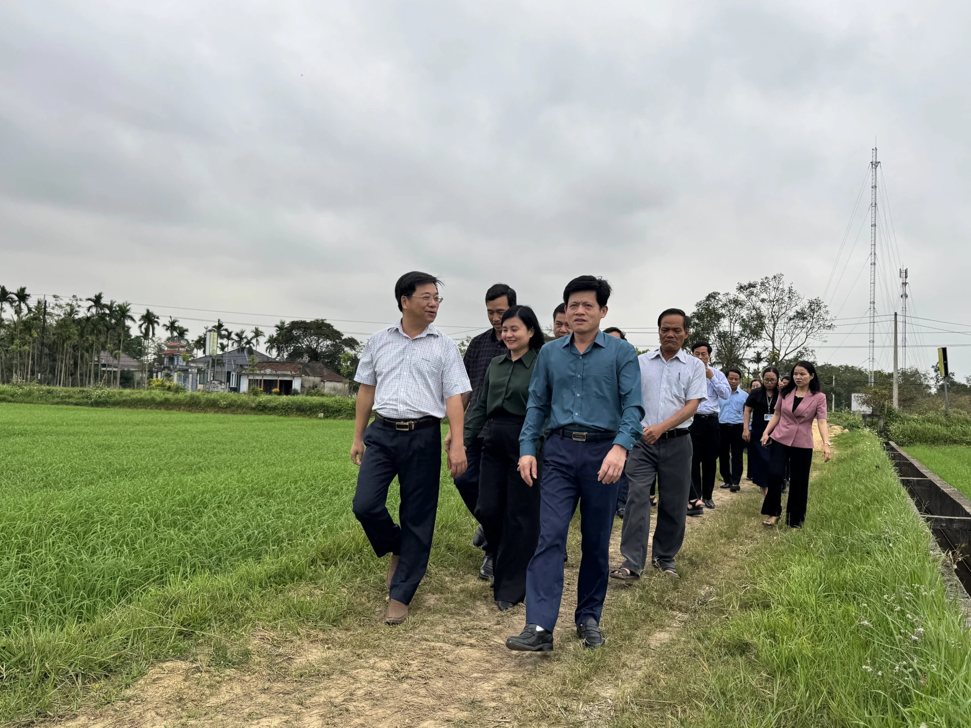 Phó Chủ tịch UBND tỉnh Lê Văn Bảo kiểm tra hoạt động sản xuất tại HTX Hiếu Bắc- Ảnh: Mai Linh