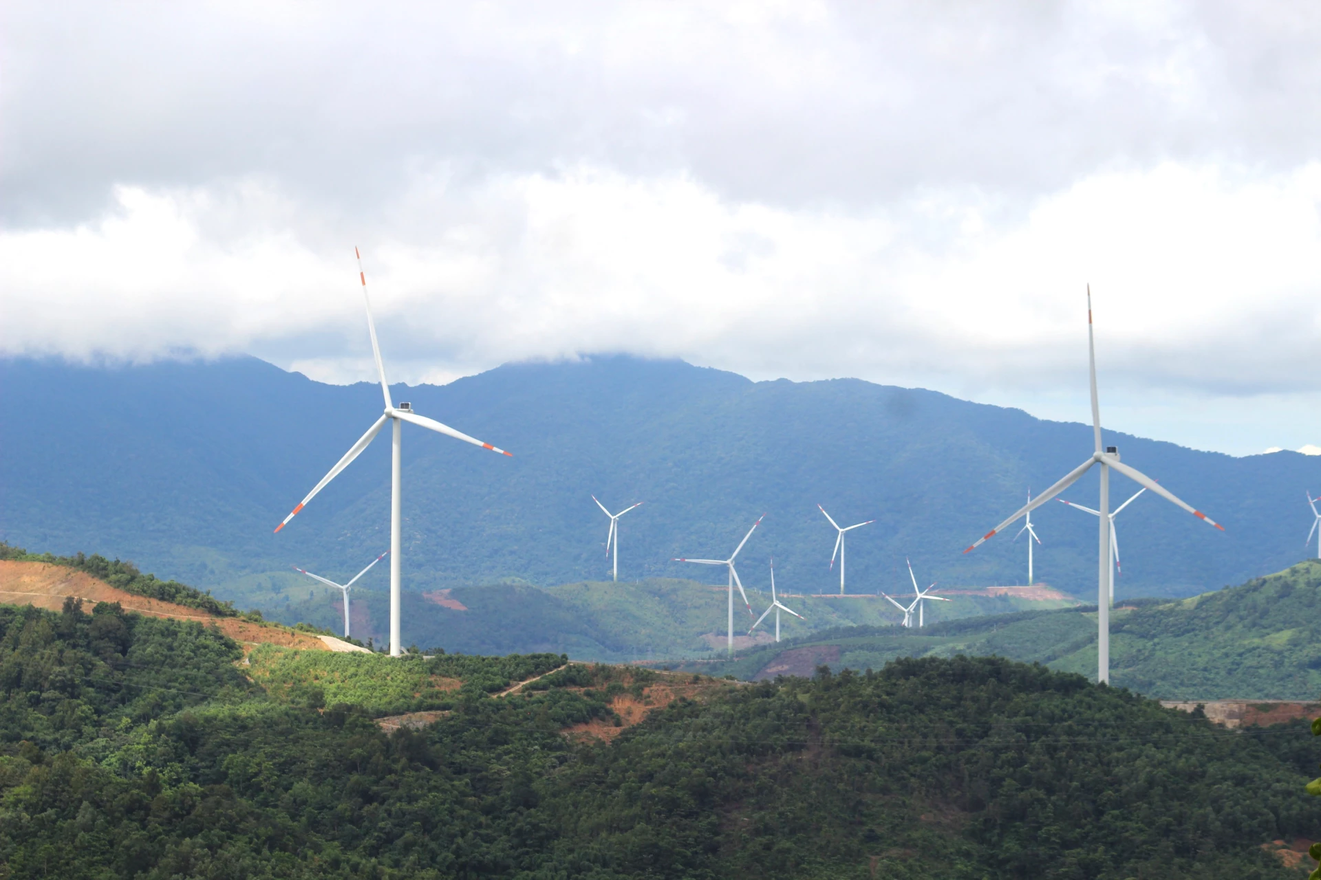 Các điện gió ở xã Hướng Phùng, tỉnh Quảng Trị - Ảnh: N.M.P