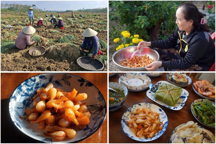 Hương kiệu ngày xuân