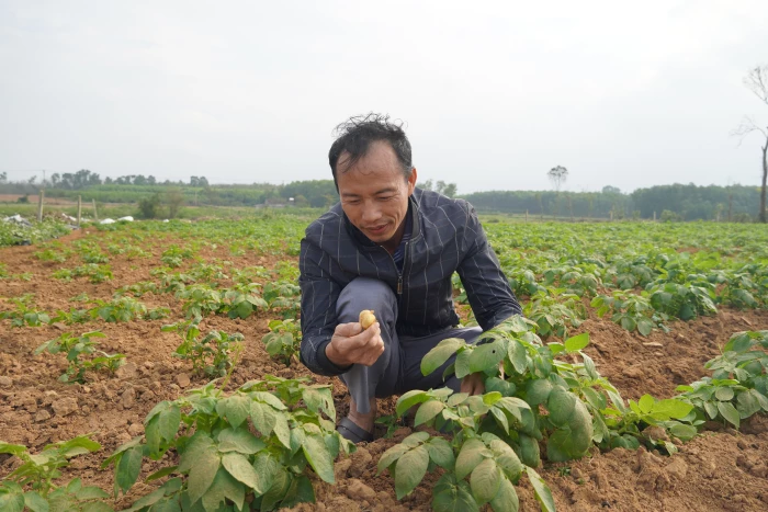 Điển hình trong phát triển nông nghiệp xanh