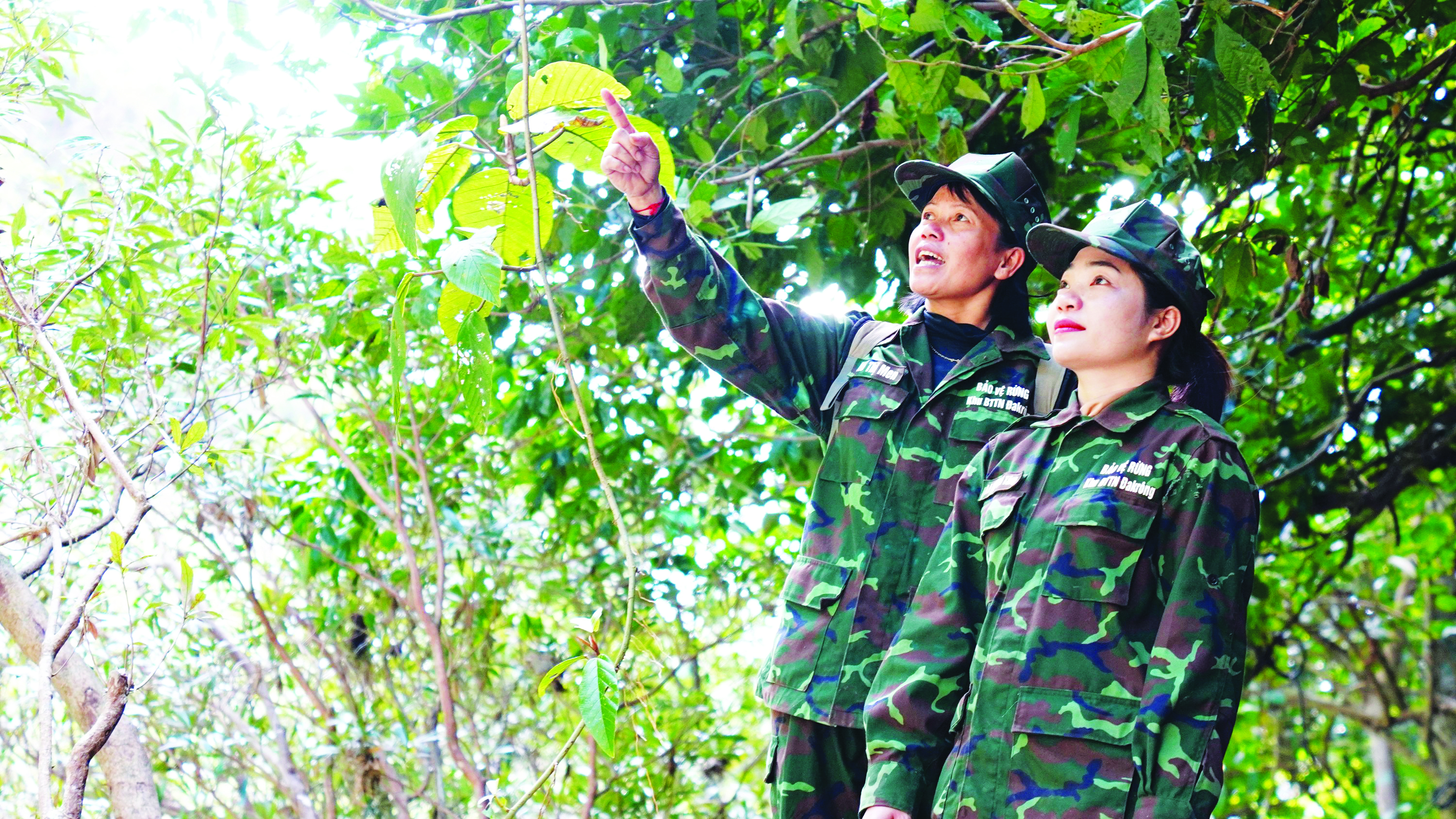 Chị Hồ Thị Men (bên trái) và chị Lê Thị Hải Tăng quan sát, đánh giá hiện trạng rừng trong lâm phần được giao quản lý, bảo vệ - Ảnh: L.A