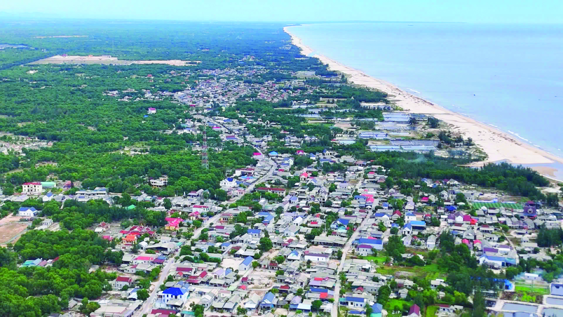 Tàu lên tiếng gọi, xương rồng nở hoa