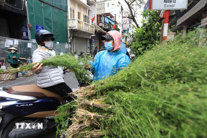 Chọn mua mớ mùi già để xông nhà, đun nước tắm trong ngày tất niên là truyền thống của nhiều gia đình trong dịp Tết cổ truyền. (Ảnh: Hoàng Hiếu/TTXVN)