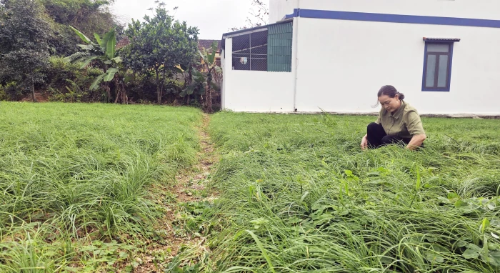 Xây dựng thương hiệu nén Thượng Vinh