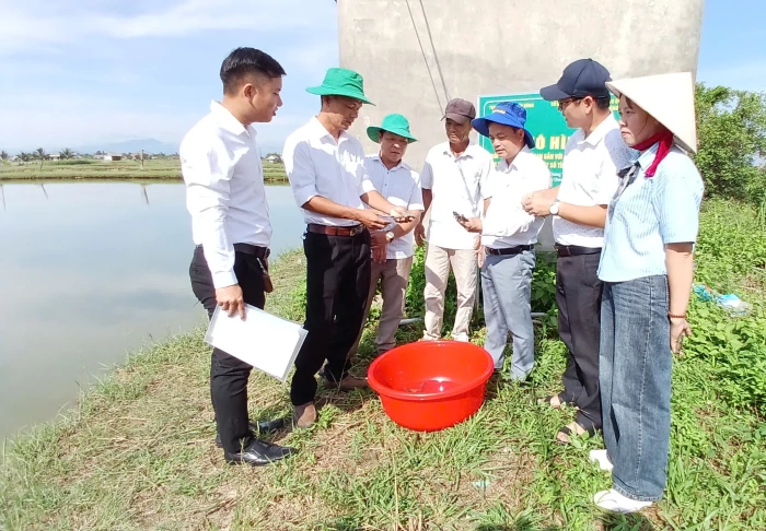 Phát huy hiệu quả hoạt động khuyến nông