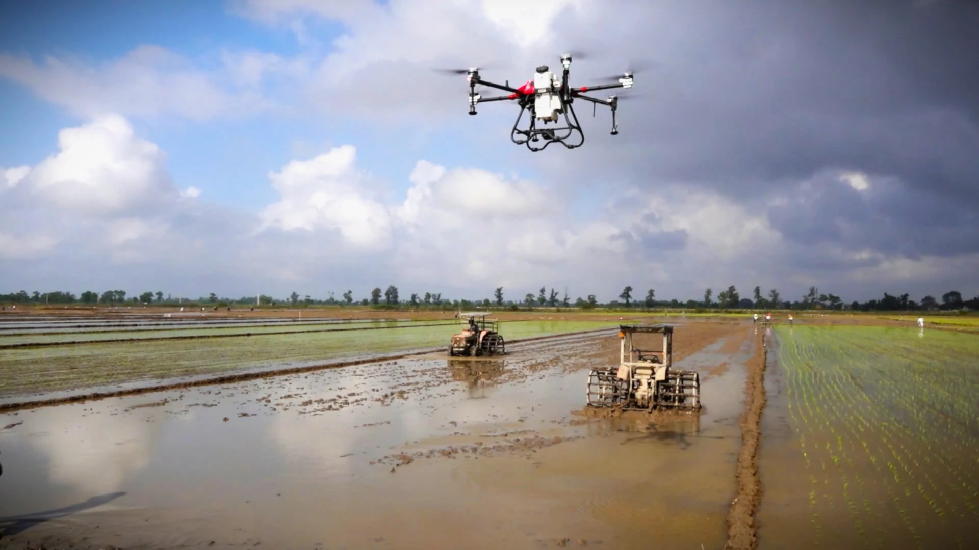 Máy móc cơ giới hóa và thiết bị bay không người lái được ứng dụng trong nông nghiệp - Ảnh: Mai Linh