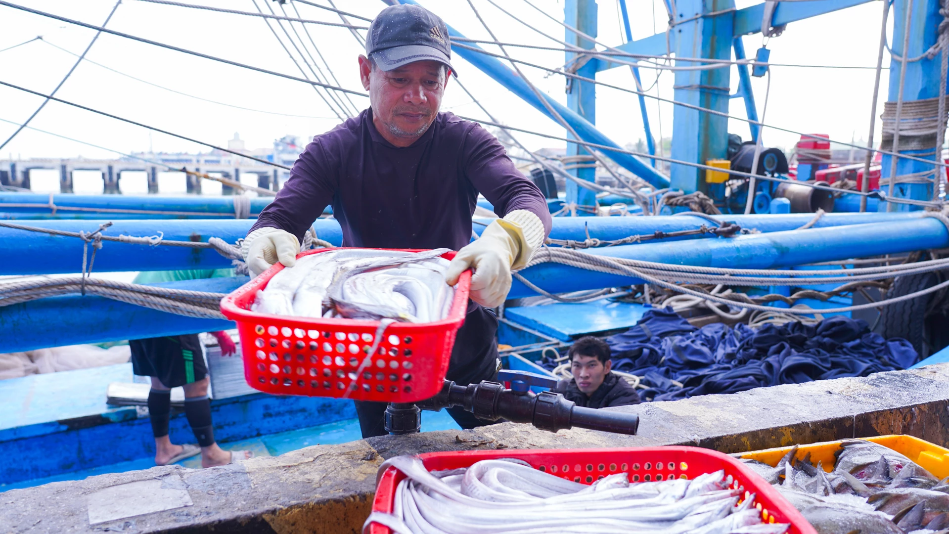 Thành viên thuyền của ông Hồ Văn Quốc vận chuyển hải sản tươi ngon từ khoang lên nhập cho tiểu thương - Ảnh: L.T