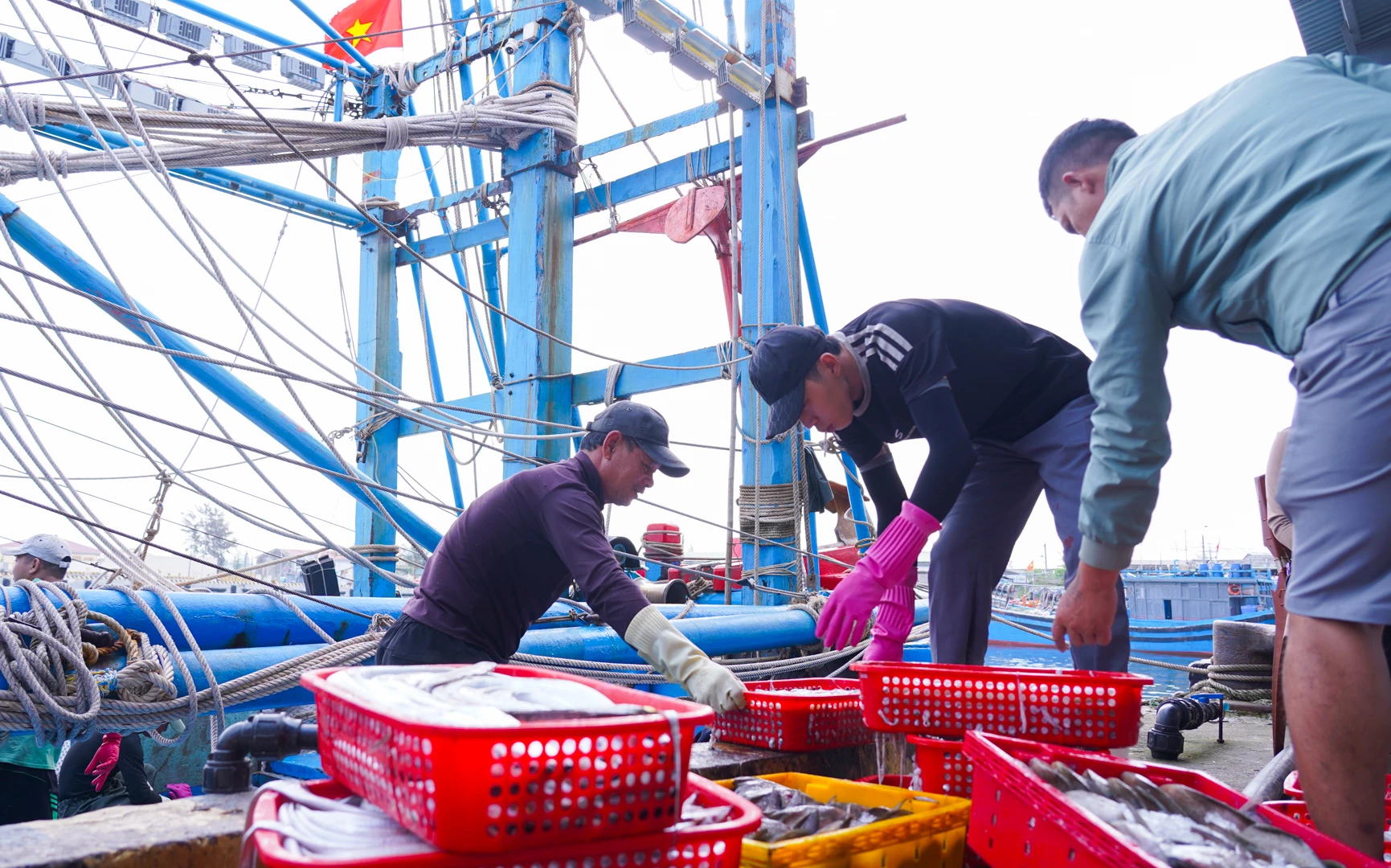 Ngoài mực, cá sơn, thuyền của ông Hồ Văn Quốc còn đánh bắt được cá hố, cá chim... - Ảnh: L.T