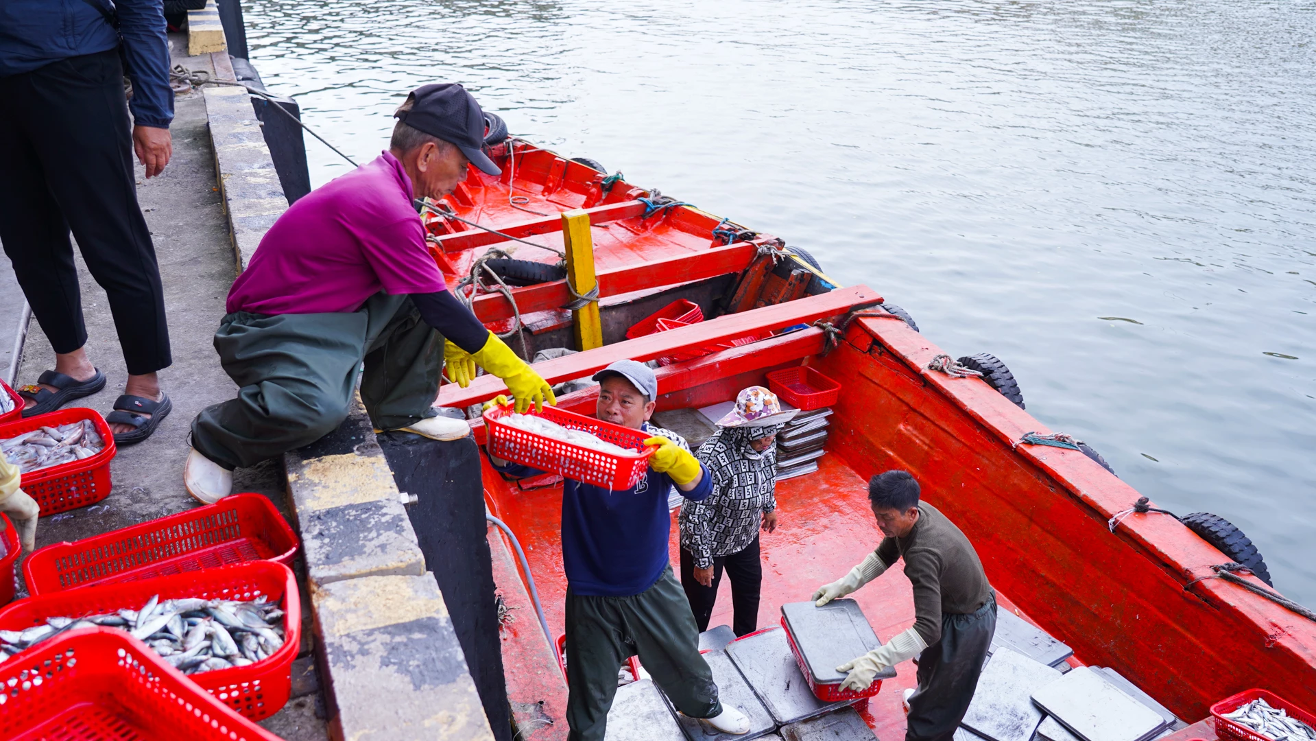 Theo nhiều tiểu thương, từ mùng 4 Tết đến nay, lượng hải sản về bến khá dồi dào - Ảnh: L.T