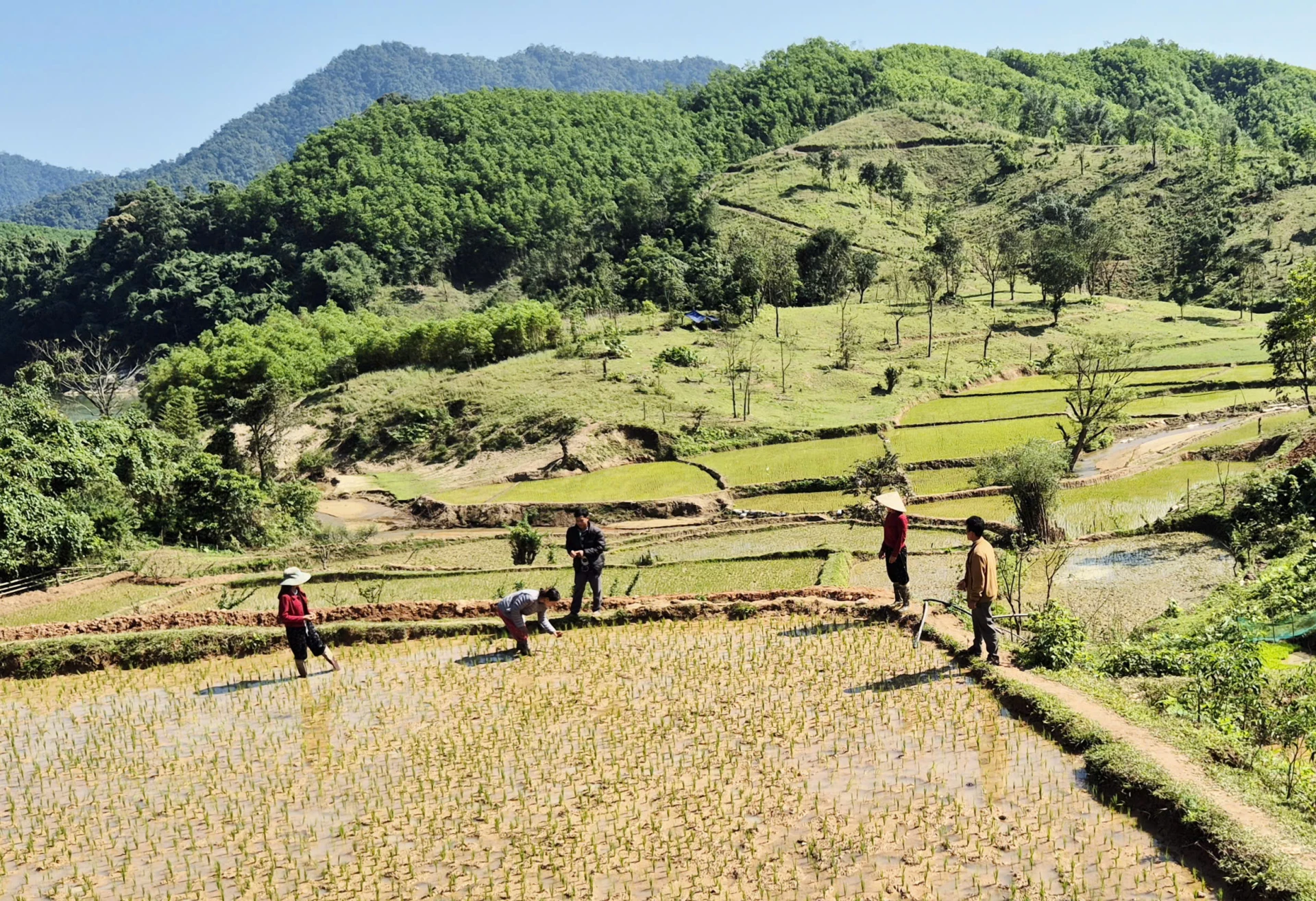 Người dân thôn Pa Hy đoàn kết, giúp nhau làm ruộng nước - Ảnh: K.S