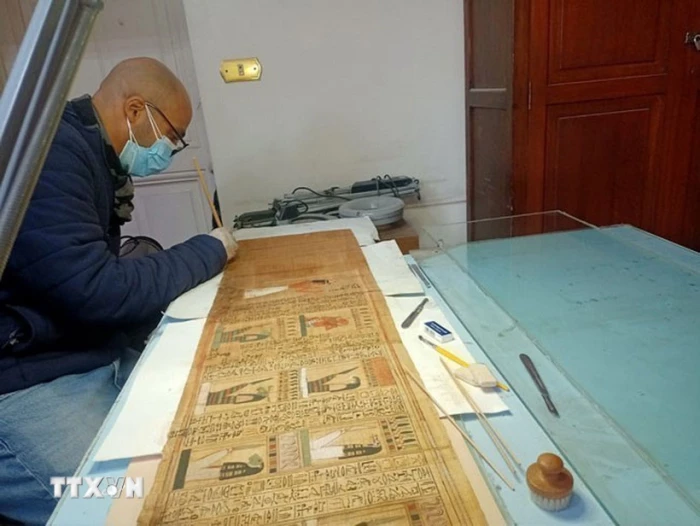 Ai Cập bảo tồn và phục chế cuộn giấy cói thời Hậu nguyên