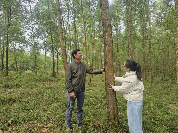 Người kết nối những mùa vàng