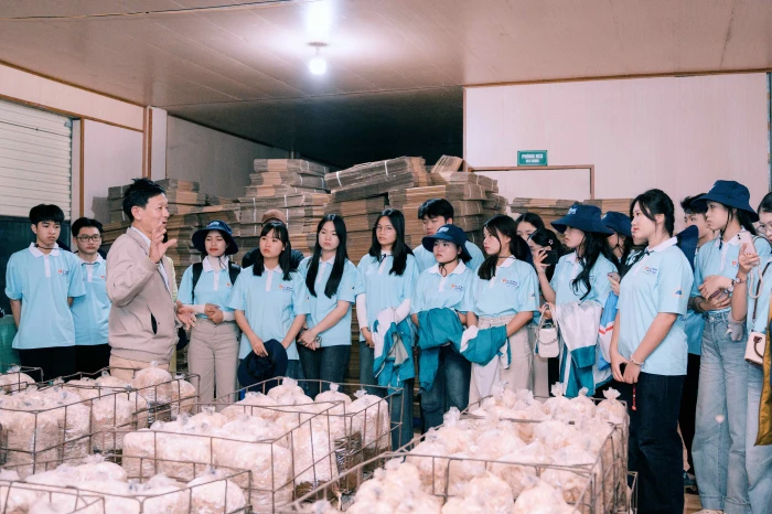 Kết 'lá chắn xanh' từ khát vọng tuổi trẻ