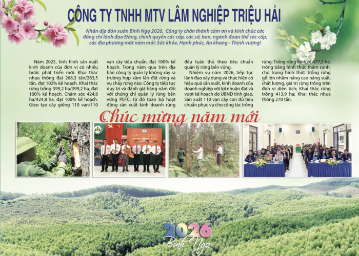 Công ty TNHH MTV Lâm Nghiệp Triệu Hải chúc mừng năm mới
