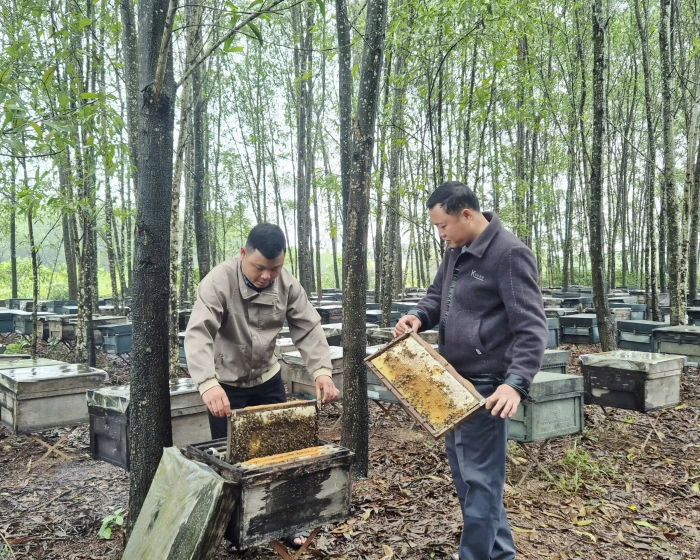 Đưa sản phẩm OCOP vươn ra thị trường