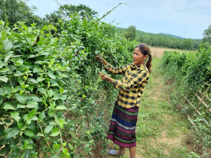 Để sản phẩm Quảng Trị vươn ra thị trường thế giới