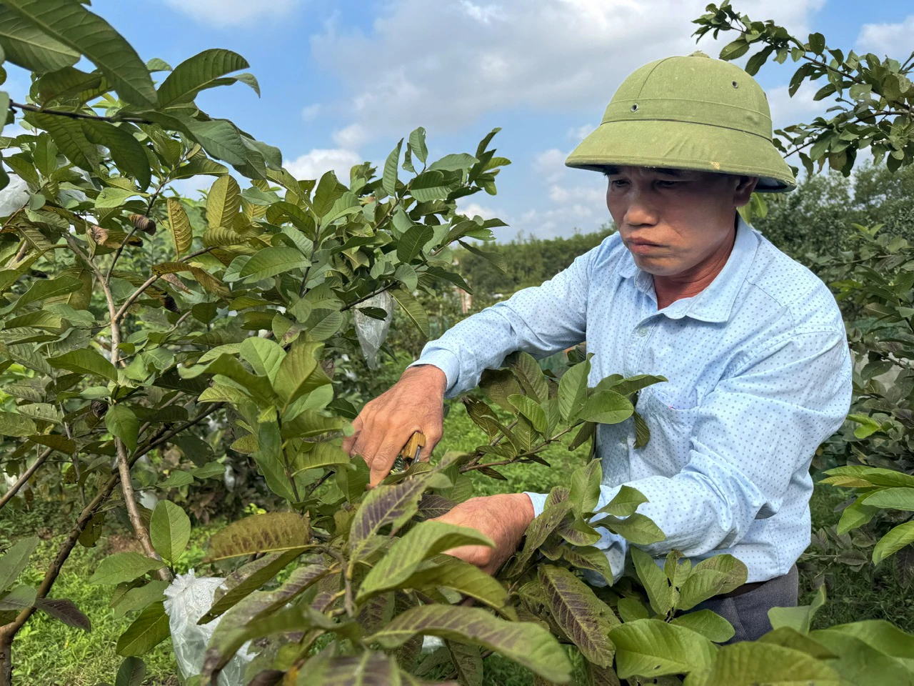 Phát triển kinh tế hộ gia đình tại xã Trường Phú - Ảnh: N.H