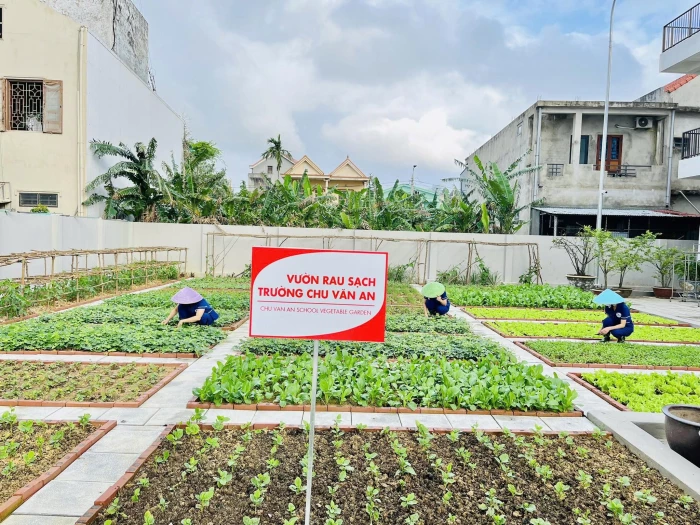 Bữa ăn hạnh phúc ở Hệ thống giáo dục Chu Văn An