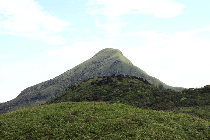 Khi dân bản trở thành 'lá chắn xanh' của đại ngàn