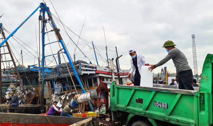 Ngư dân lao đao vì giá xăng dầu 'leo thang'