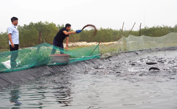 Đảng viên trẻ làm kinh tế giỏi