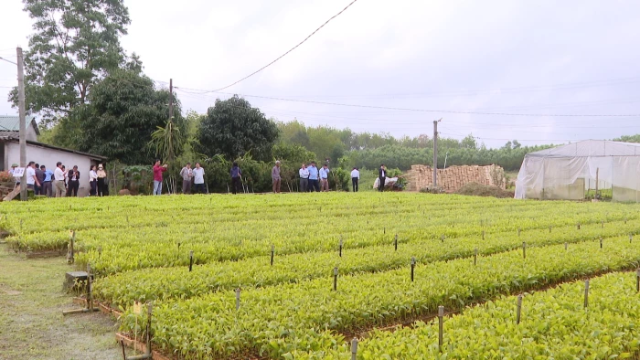 Số hóa nông nghiệp Quảng Trị: Từ mô hình 'điểm' đến hệ sinh thái bền vững