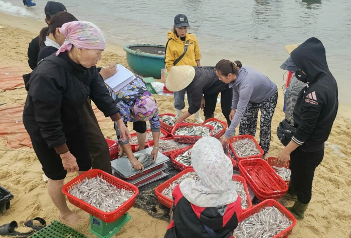 Ngư dân đón 'lộc biển' đầu năm