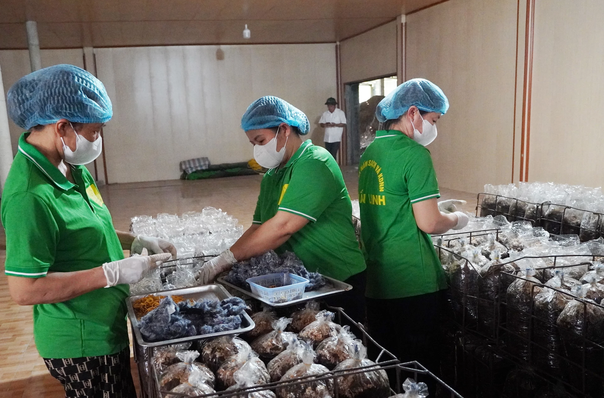 Các hợp tác xã trên địa bàn tỉnh tập trung sản xuất từ những tháng đầu năm - Ảnh: C.N