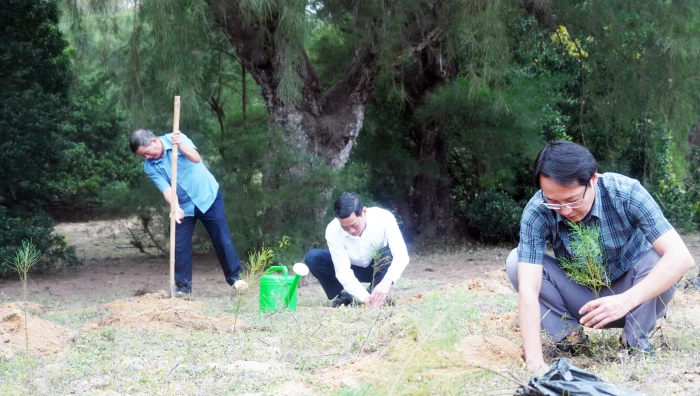 Giữ vững 'vành đai xanh' nơi đầu sóng