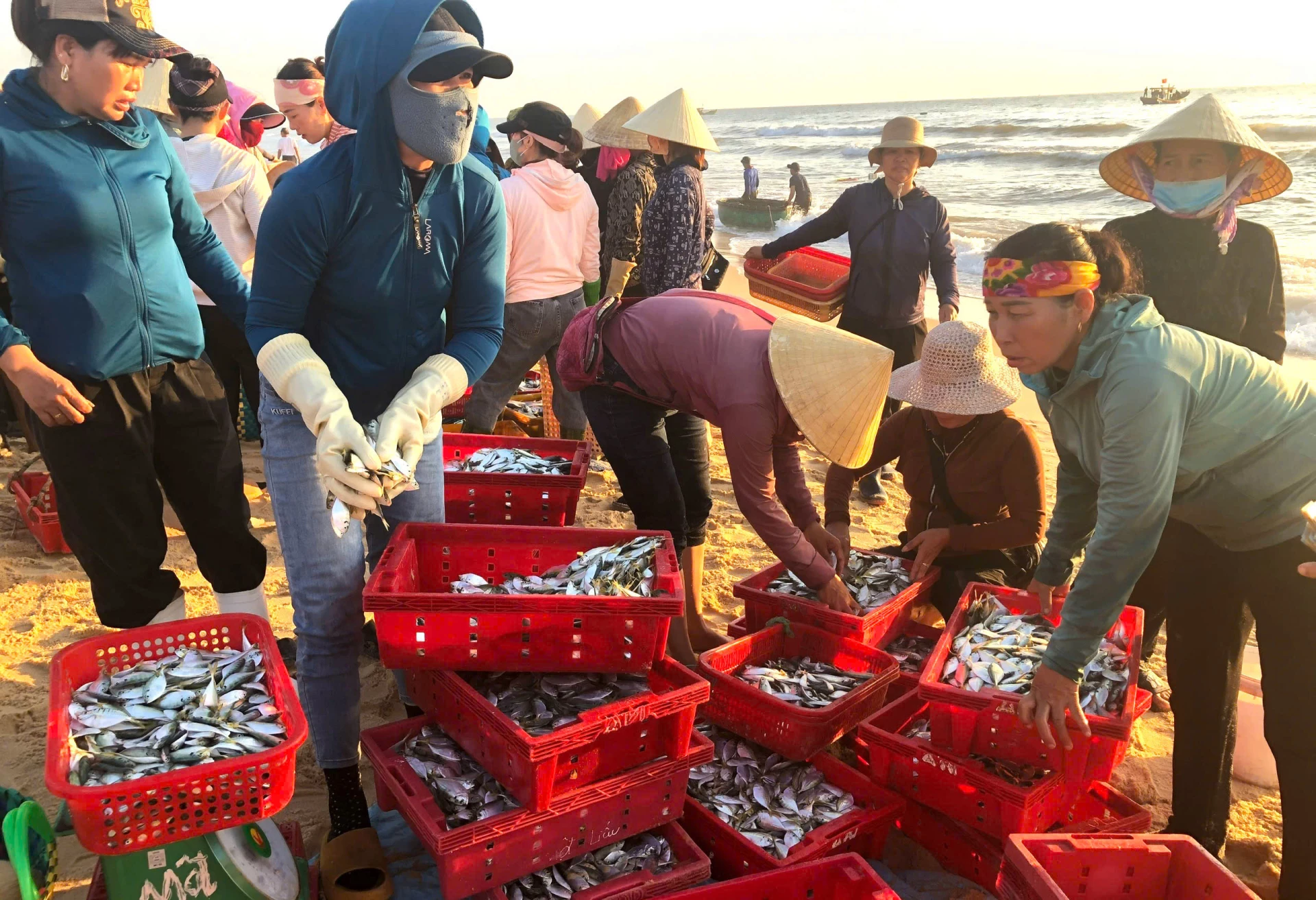 Quảng Trị có diện tích mặt nước biển, vùng biển đặc quyền kinh tế rộng, trữ lượng nguồn lợi thủy sản các loại lớn -Ảnh: A.T