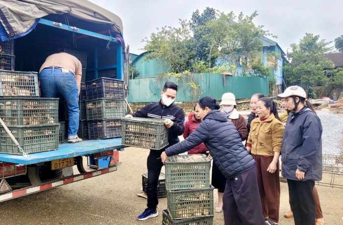 Hỗ trợ nông dân giảm nghèo