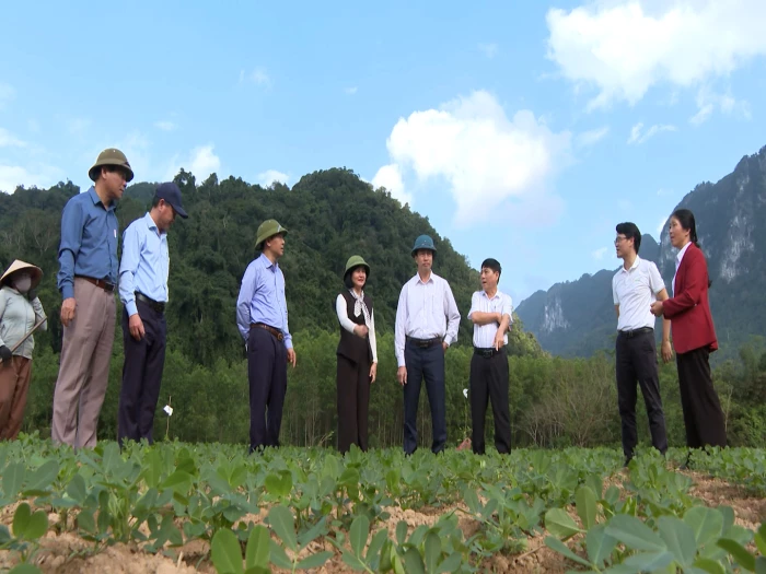 Nông sản Trường Sơn chinh phục tiêu chuẩn hữu cơ châu Âu