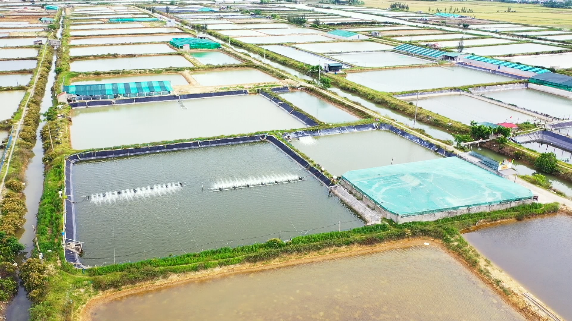 Hệ thống CSDL đất đai là điều kiện quan trọng để quy hoạch vùng nông nghiệp. Ảnh: V.Phương