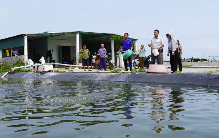 Điêu đứng vì… tôm (!?)