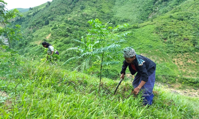 Trao 'cần câu' bằng tri thức