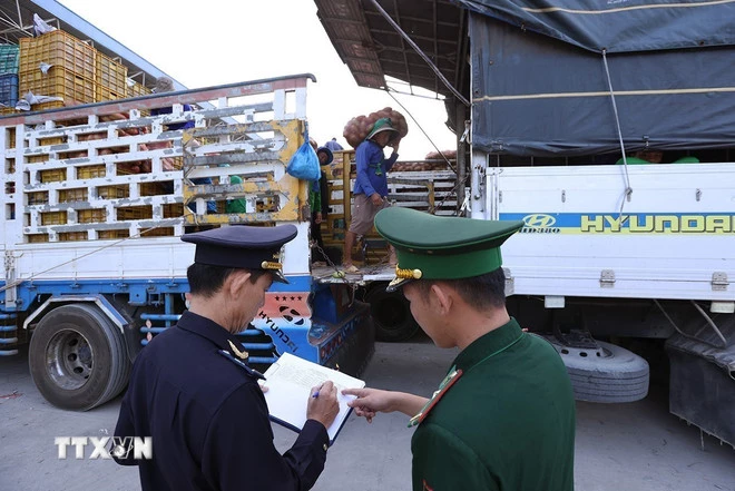 Lực lượng Biên phòng phối hợp với Hải quan Cửa khẩu giám sát hàng nhập khẩu tại cửa khẩu. (Ảnh: Vũ Sinh/TTXVN)