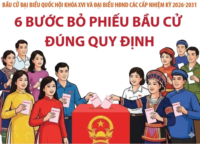 Bầu cử Quốc hội và HĐND: 6 bước bỏ phiếu bầu cử đúng quy định