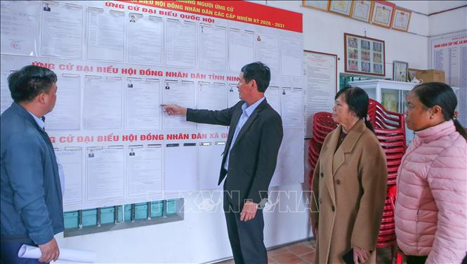 Các thành viên Tổ bầu cử số 7, xã Giao Ninh (Ninh Bình) kiểm tra, rà soát lại các thông tin các ứng cử viên được niêm yết tại điểm bỏ phiếu. Ảnh: Công Luật/TTXVN