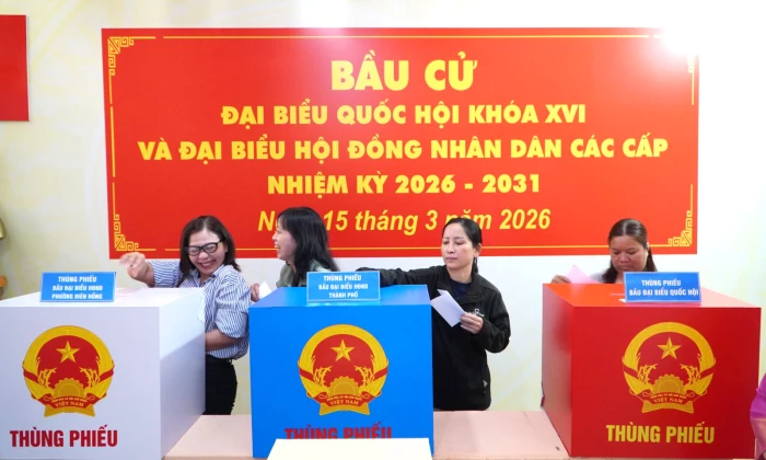 Những điều cử tri cần lưu ý khi tham gia bỏ phiếu