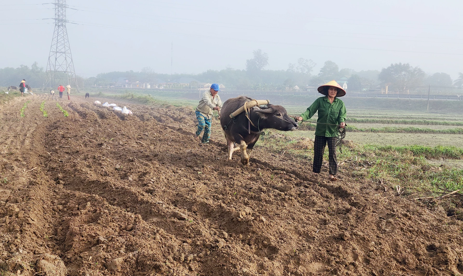 Bà con nông dân các xã Vĩnh Linh, Sen Ngư làm đồng- Ảnh: TL.