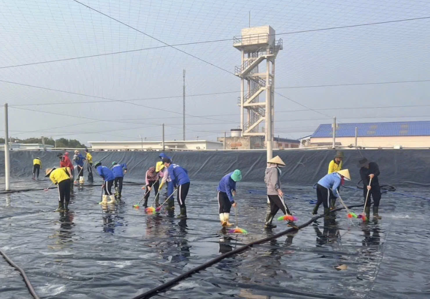 Làm sạch lồng nuôi tôm công nghệ cao ở Công ty TNHH Thủy sản Công nghệ cao Việt Nam tại Quảng Bình-Ảnh: K.S 