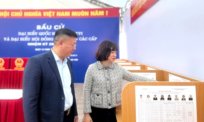 Những quy định cử tri cần biết để phiếu bầu cử hợp lệ