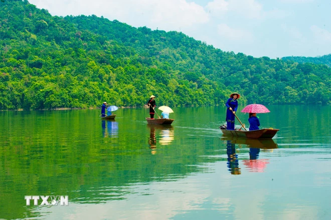 Củng cố các nền kinh tế dựa vào rừng. (Ảnh minh họa. Nguồn: TTXVN)