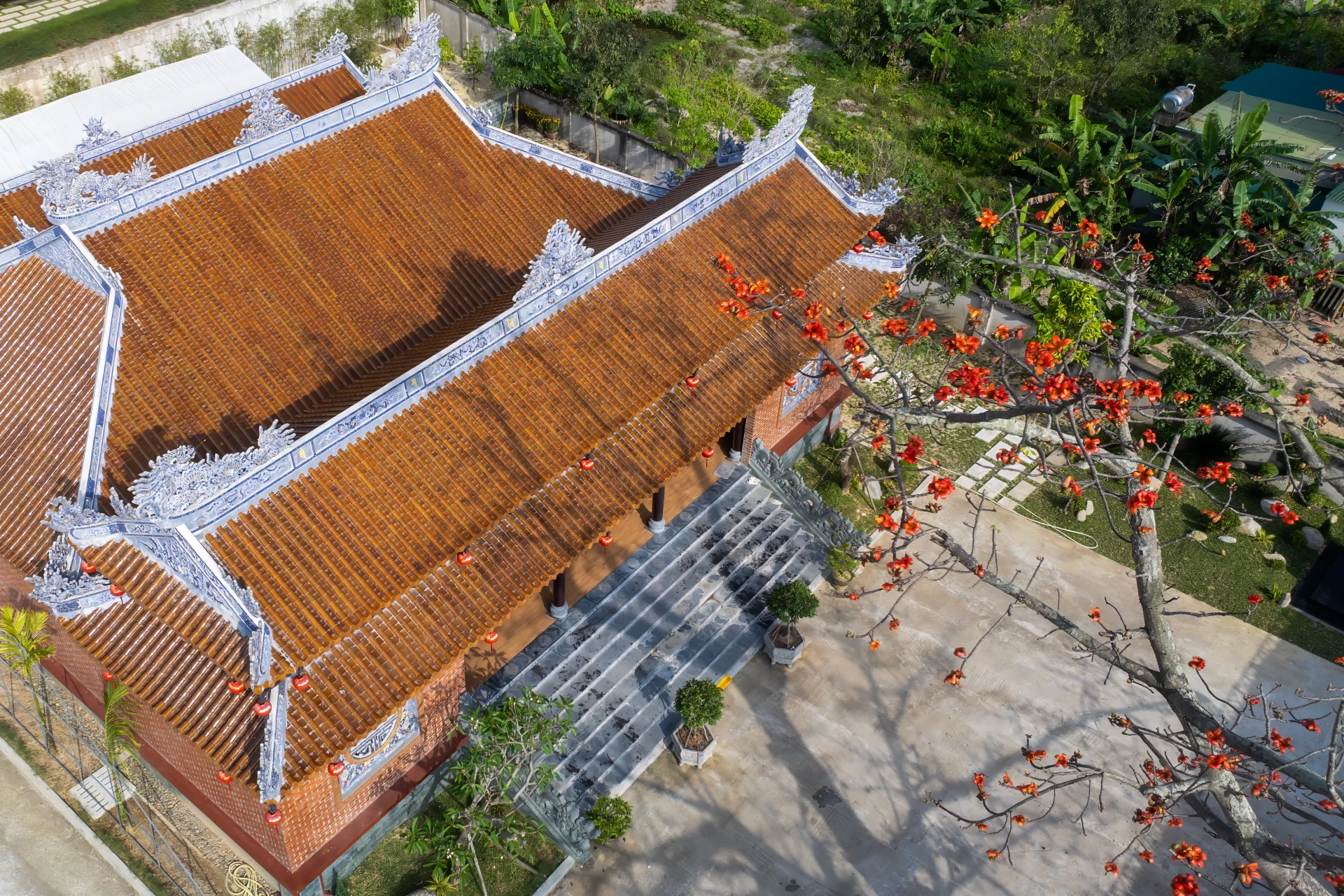 Cây gạo cổ thụ trước sân chùa