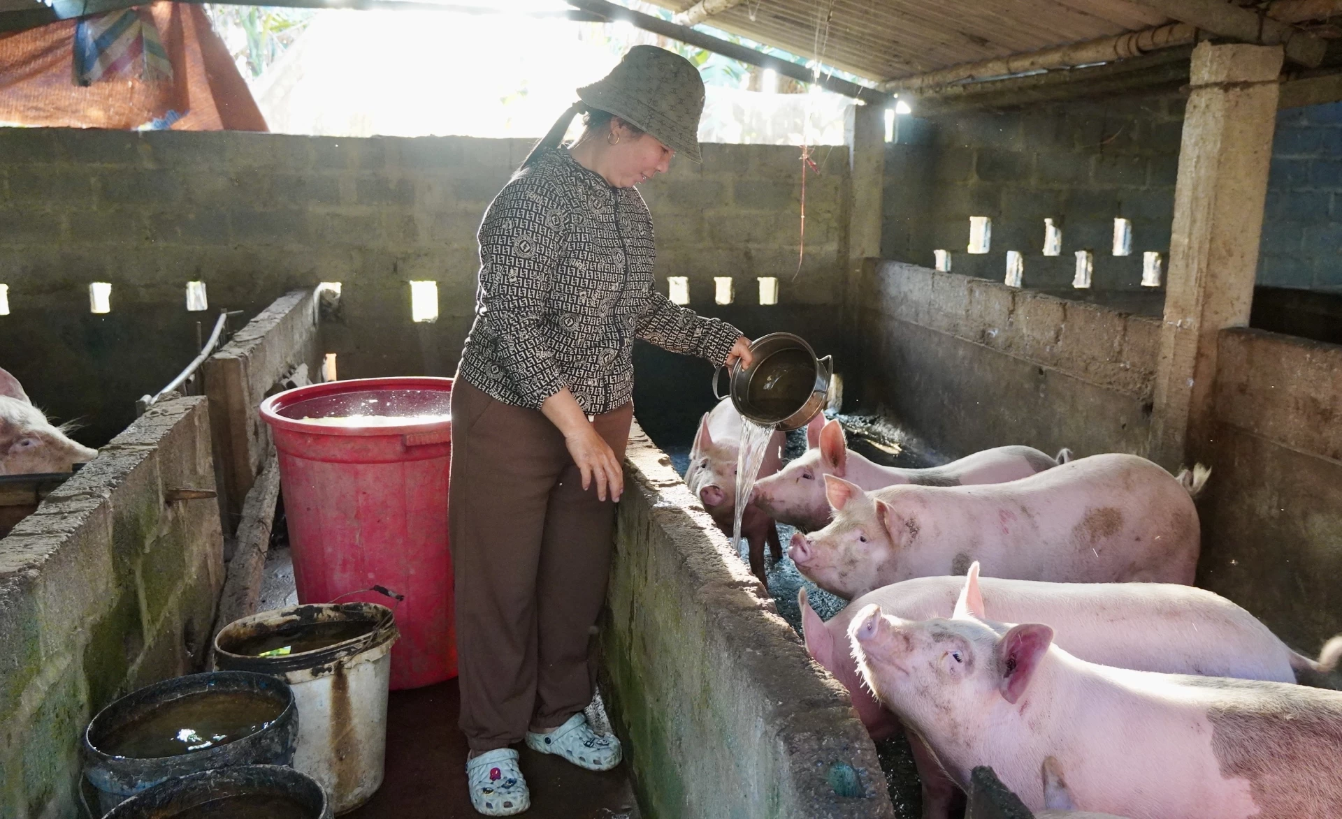 Nhờ được hỗ trợ, nhiều hội viên phụ nữ xã Tân Mỹ đã mạnh dạn đầu tư phát triển kinh tế, nâng cao thu nhập - Ảnh: Đ.V