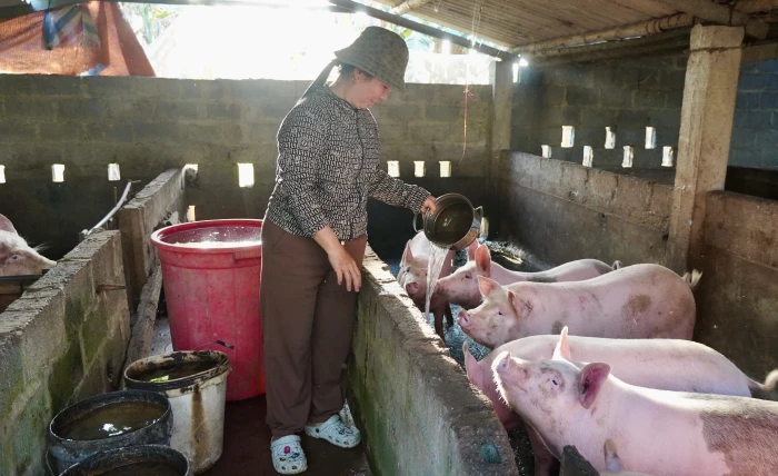 Phụ nữ Tân Mỹ giúp nhau phát triển kinh tế, giảm nghèo bền vững