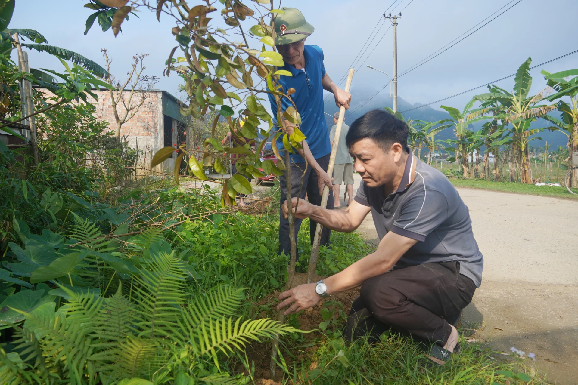 Ông Đinh Phú Cường (người ngồi) cùng người dân trong tổ dân phố 3 trồng cây bóng mát tại một tuyến đường trong khu dân cư - Ảnh: X.V