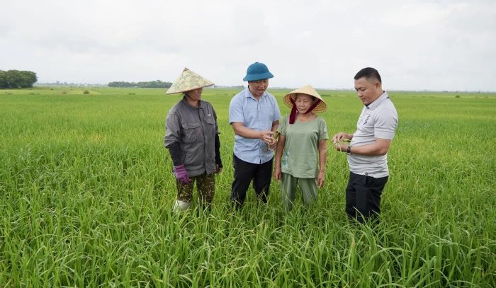 Quyết tâm cho một vụ mùa bội thu